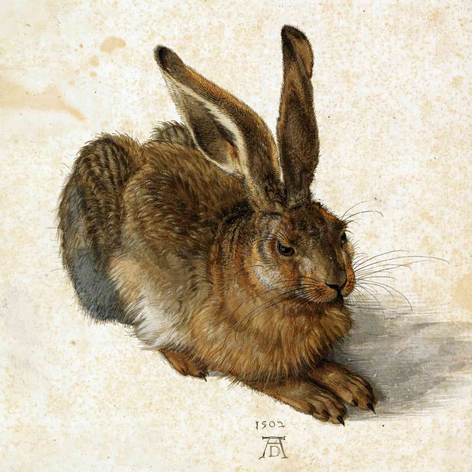 Kunstdrucke von Albrecht Dürer