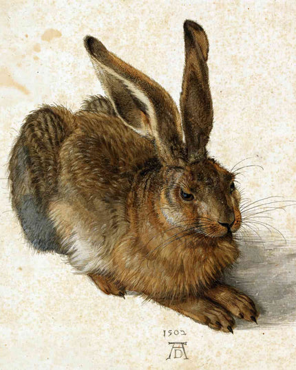 Collection image for: Kunstdrucke von Albrecht Dürer
