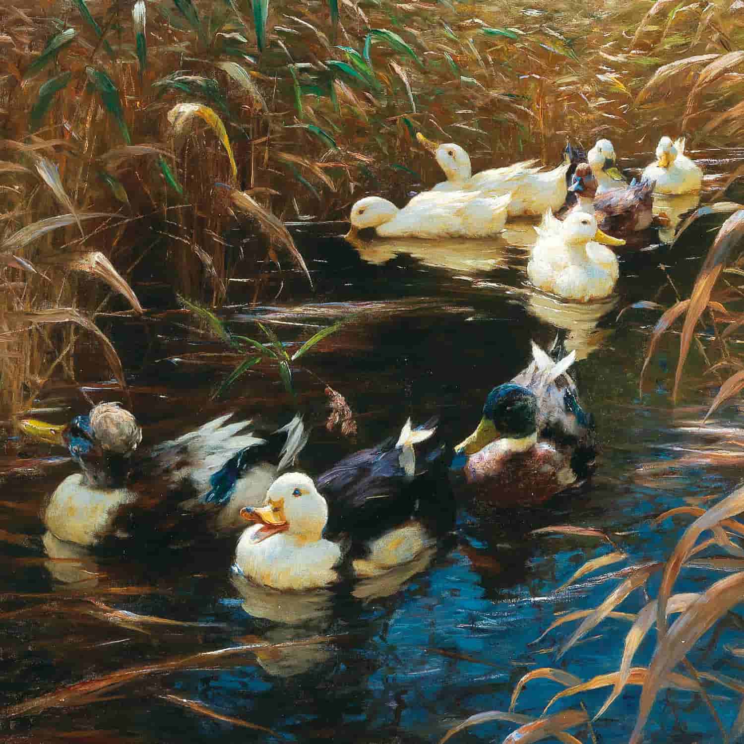 Kunstdrucke von Alexander Koester
