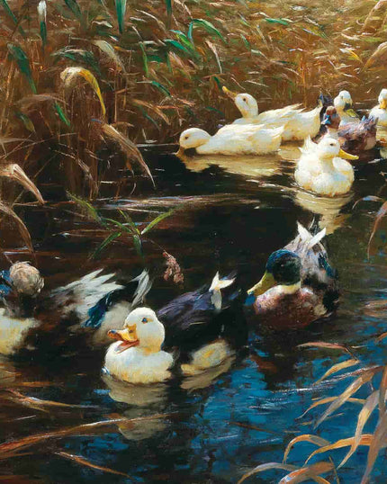 Collection image for: Kunstdrucke von Alexander Koester