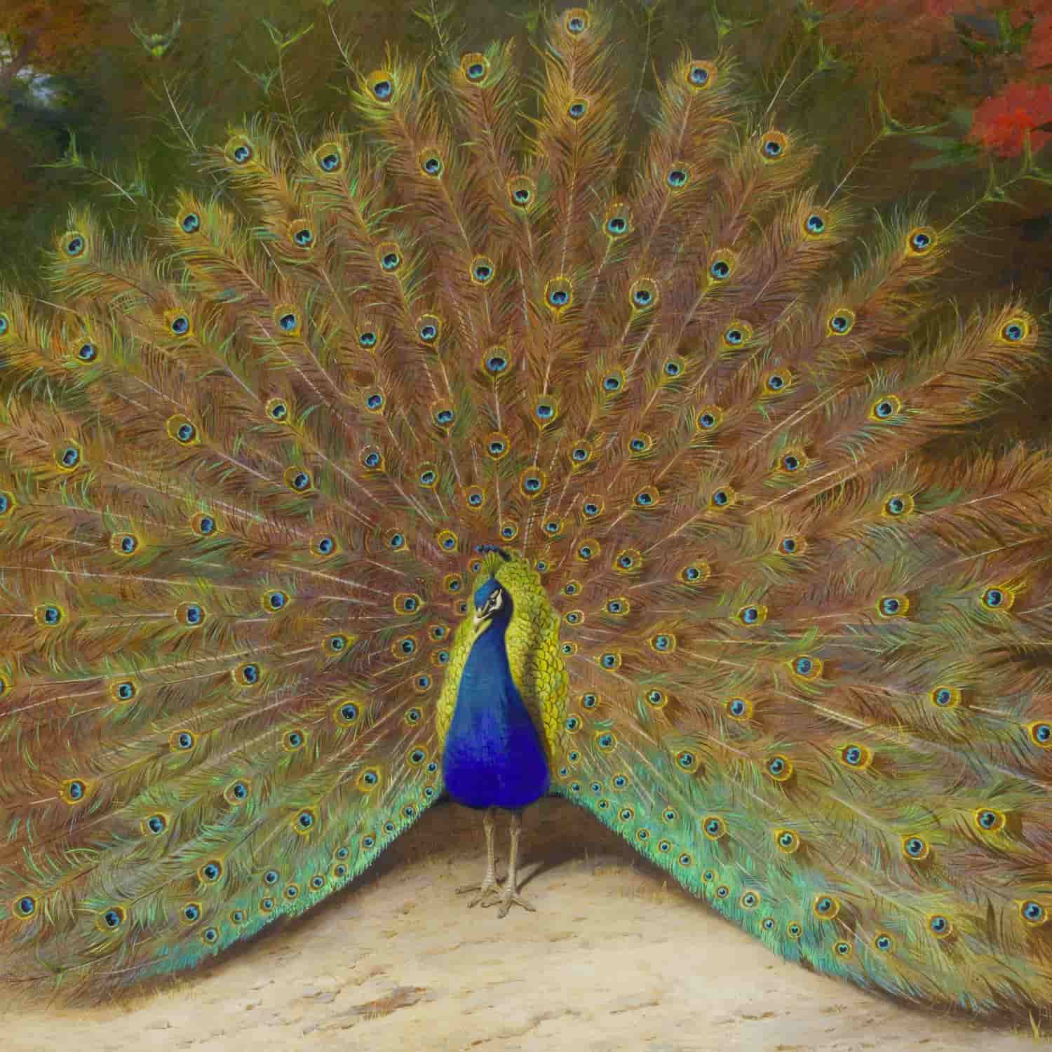 Kunstdrucke von Archibald Thorburn