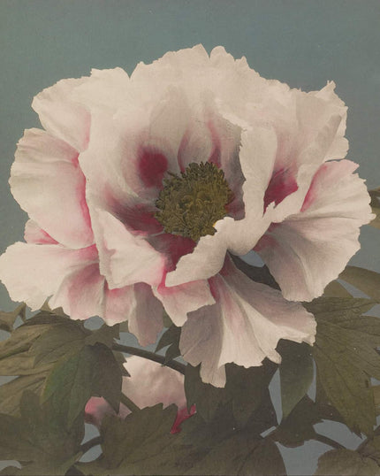 Collection image for: Kunstdrucke von Kazumasa Ogawa