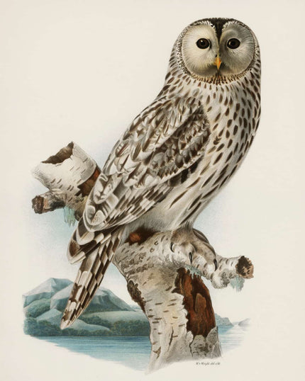 Collection image for: Kunstdrucke von Magnus Von Wright