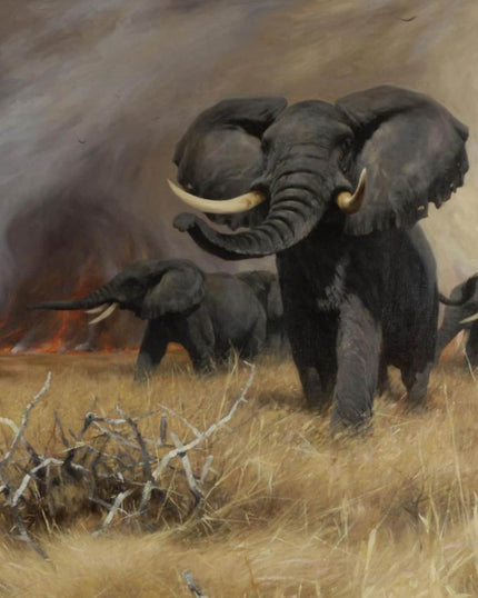 Collection image for: Kunstdrucke von Wilhelm Kuhnert