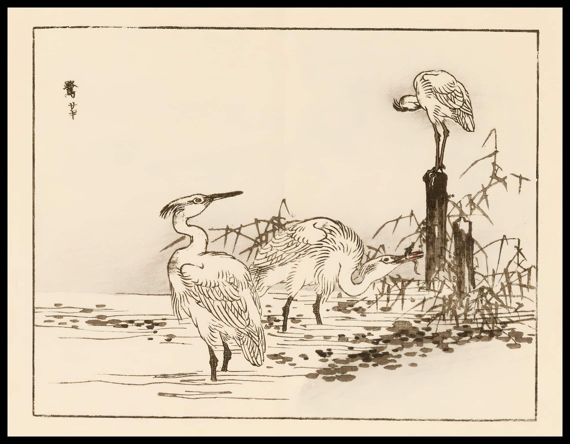 Woodcut 12