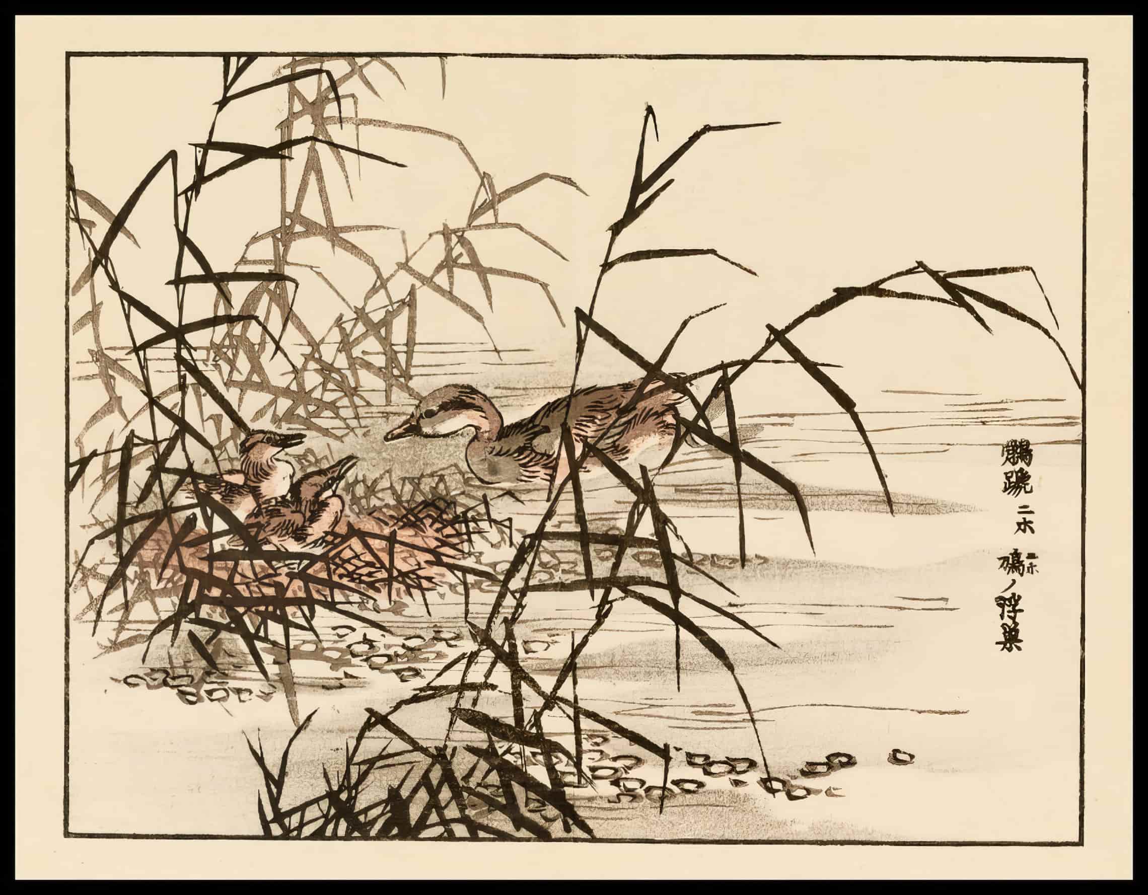Woodcut 14