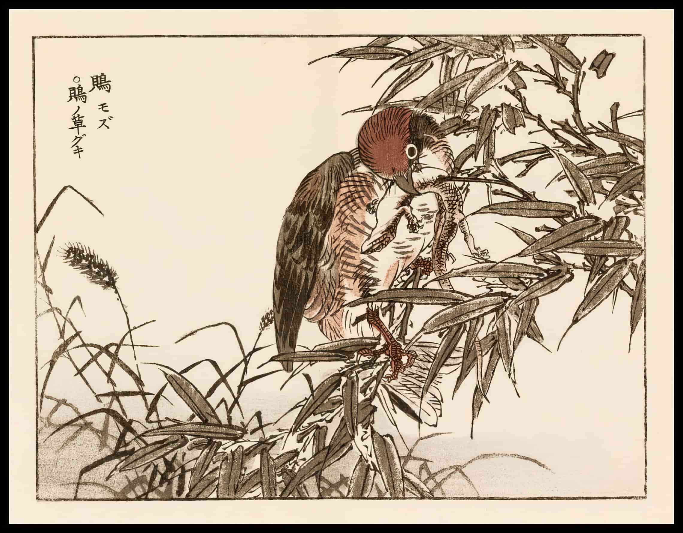 Woodcut 17