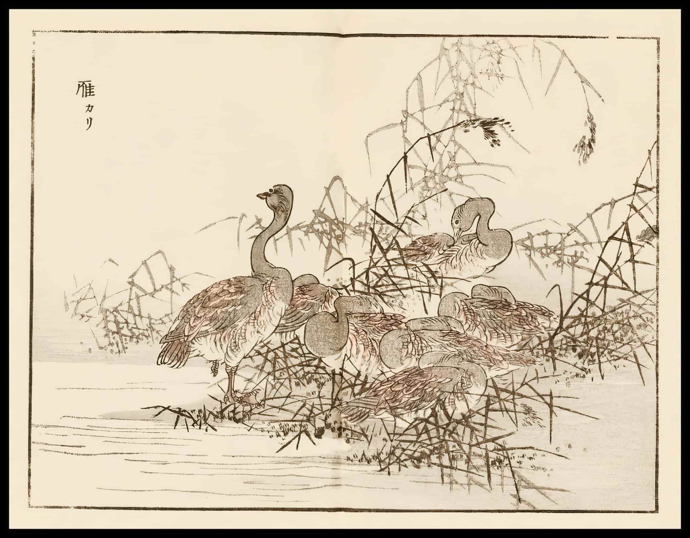 Woodcut 18