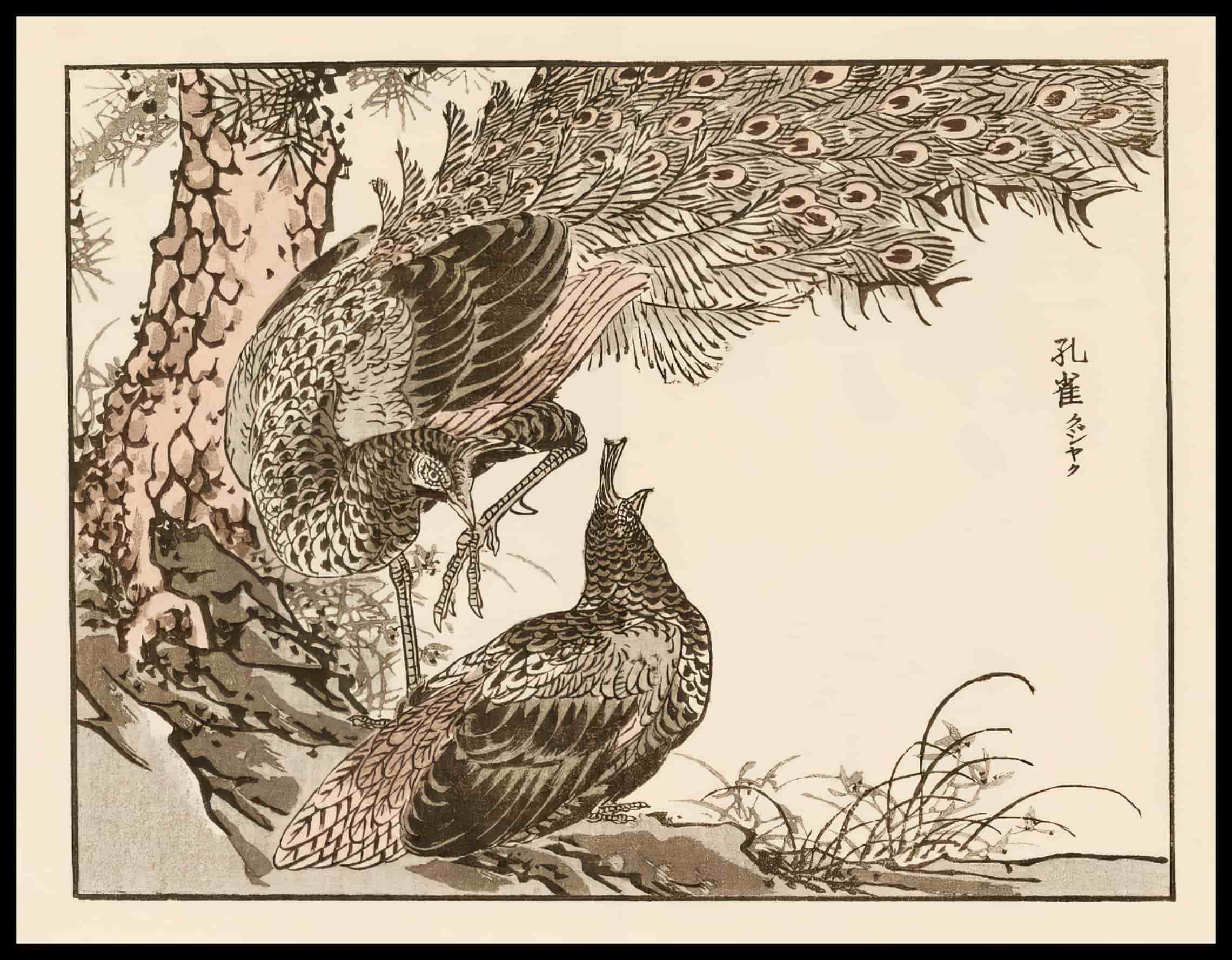 Woodcut 24