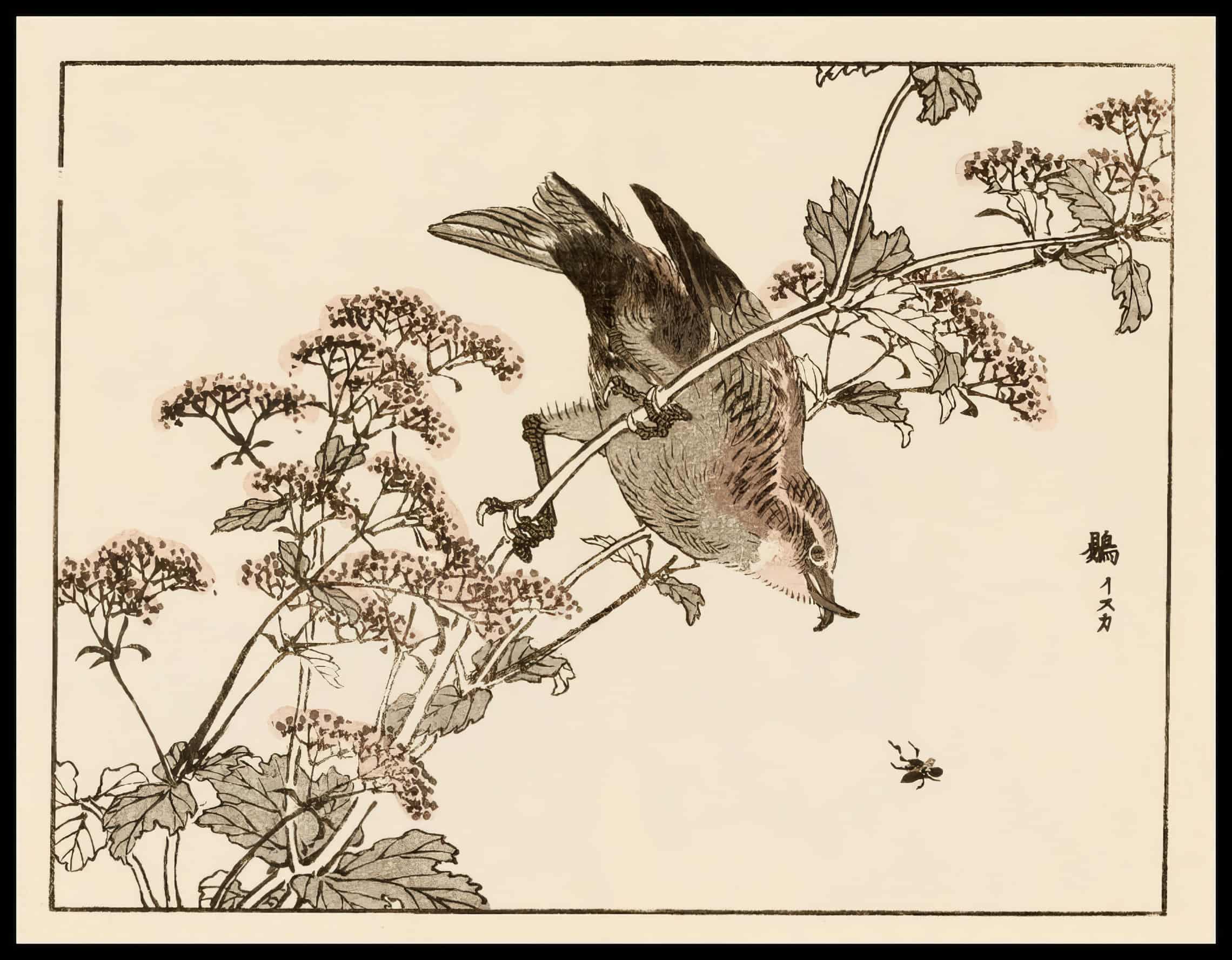 Woodcut 26