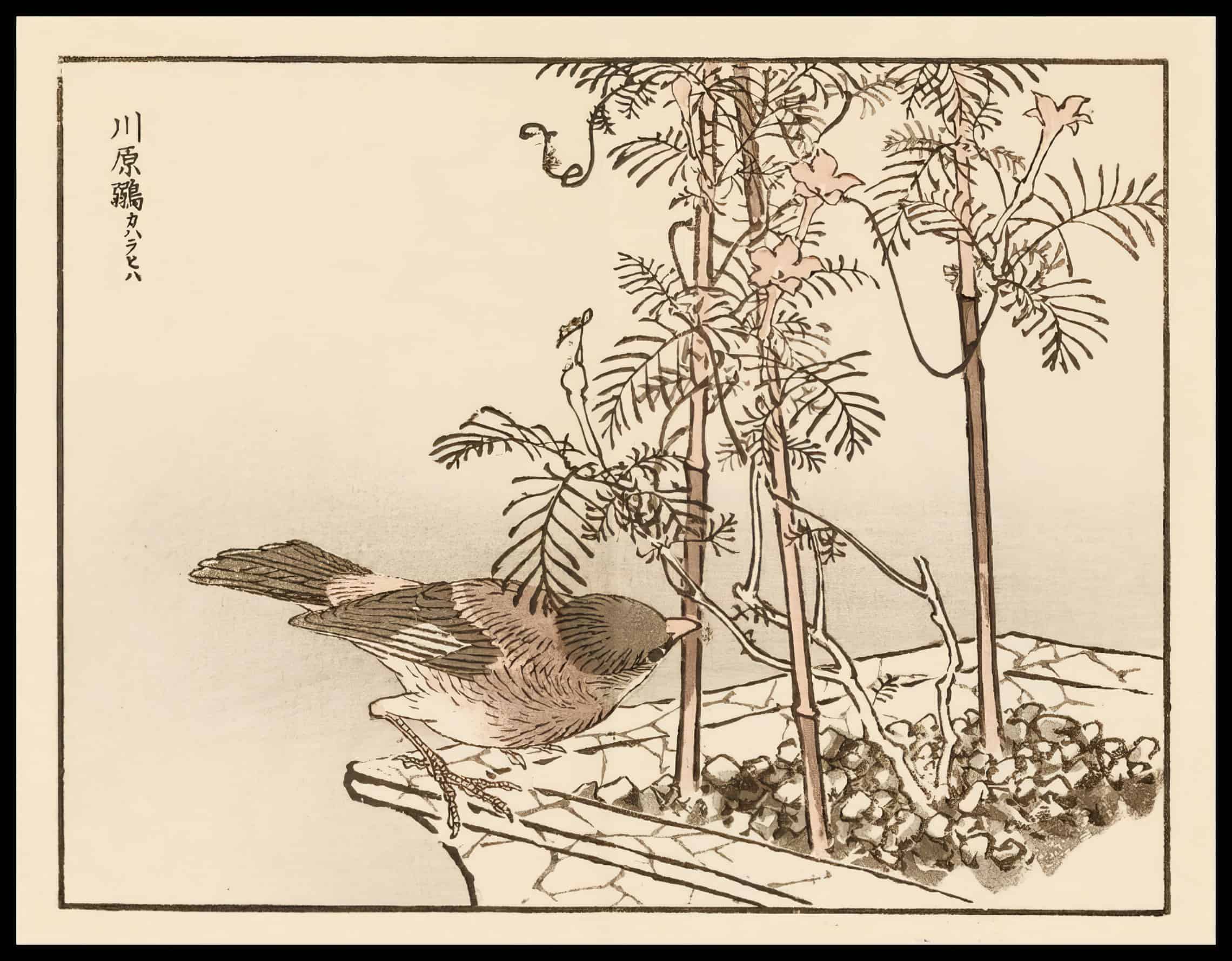 Woodcut 27