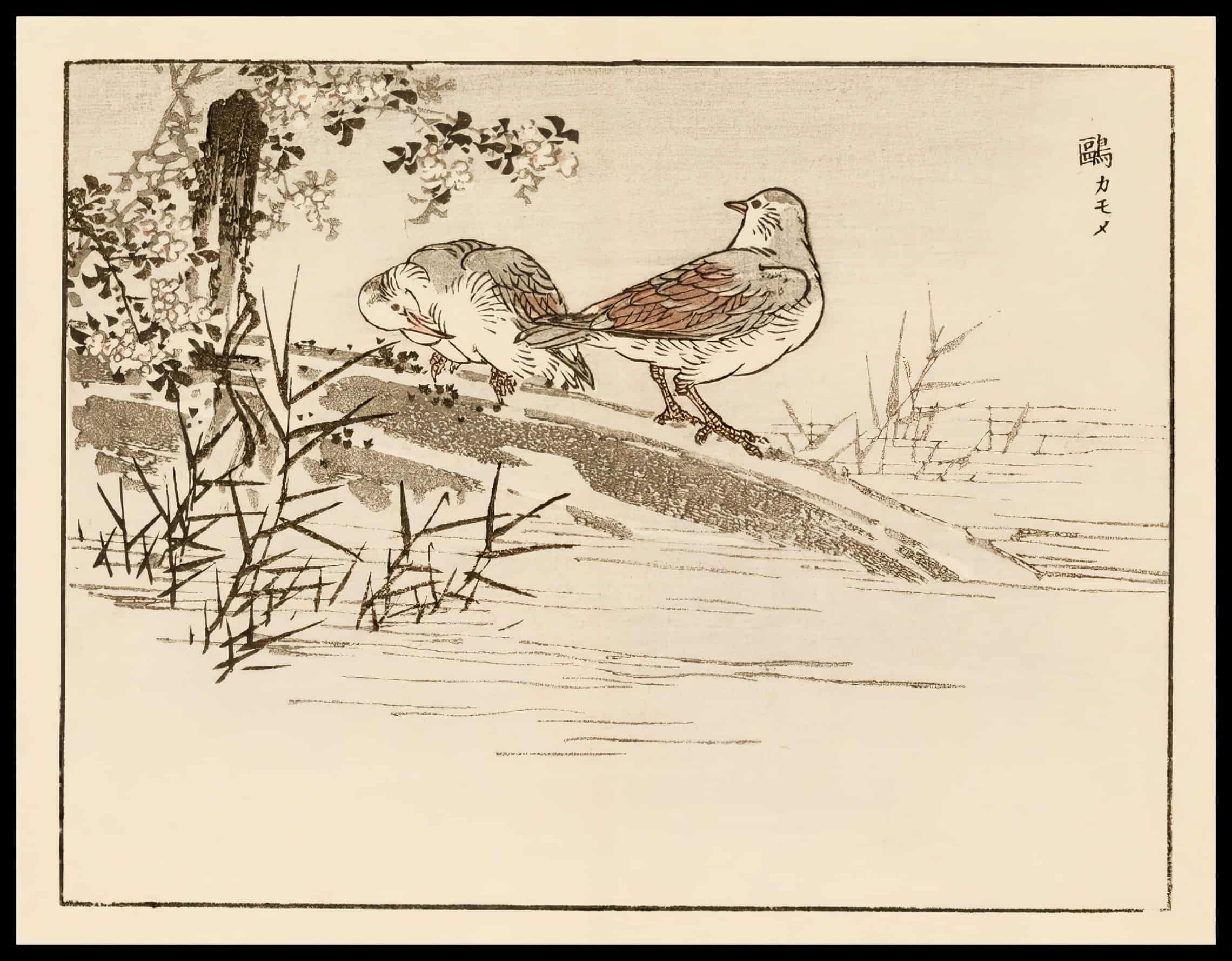 Woodcut 28