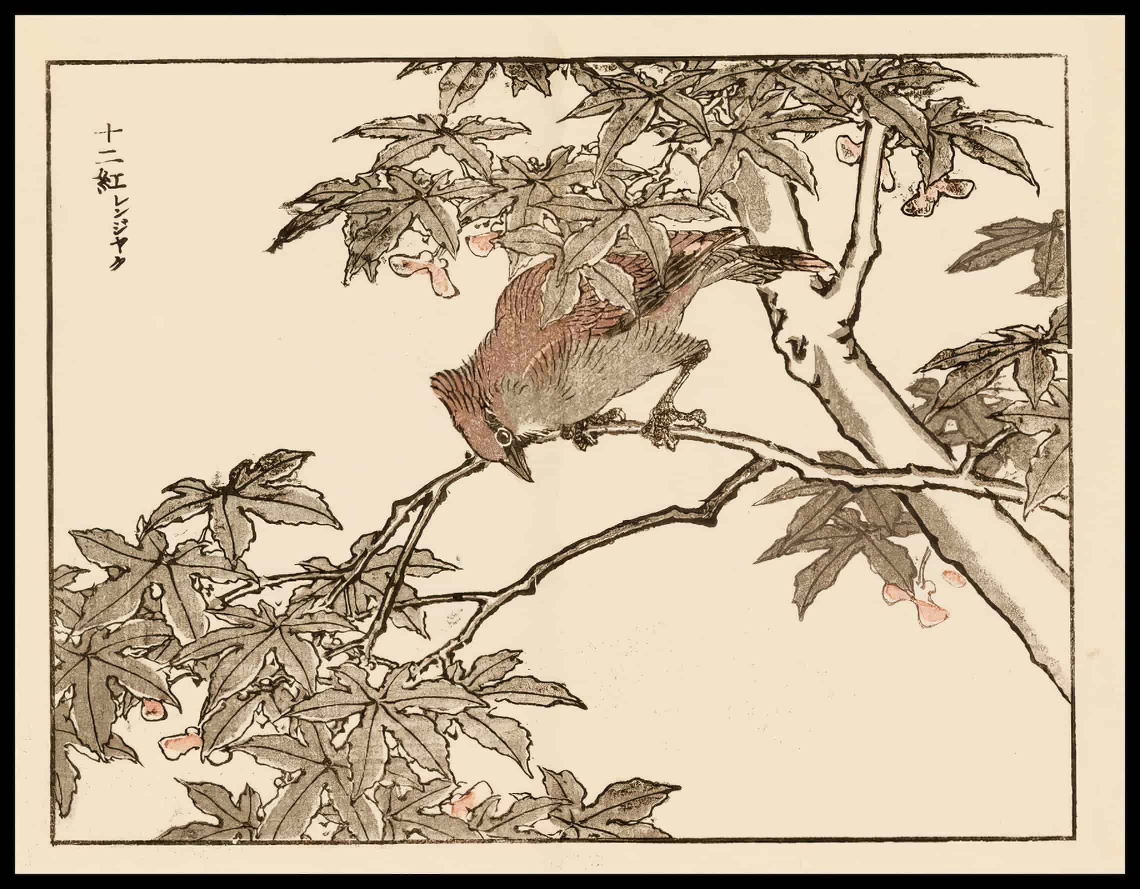 Woodcut 29