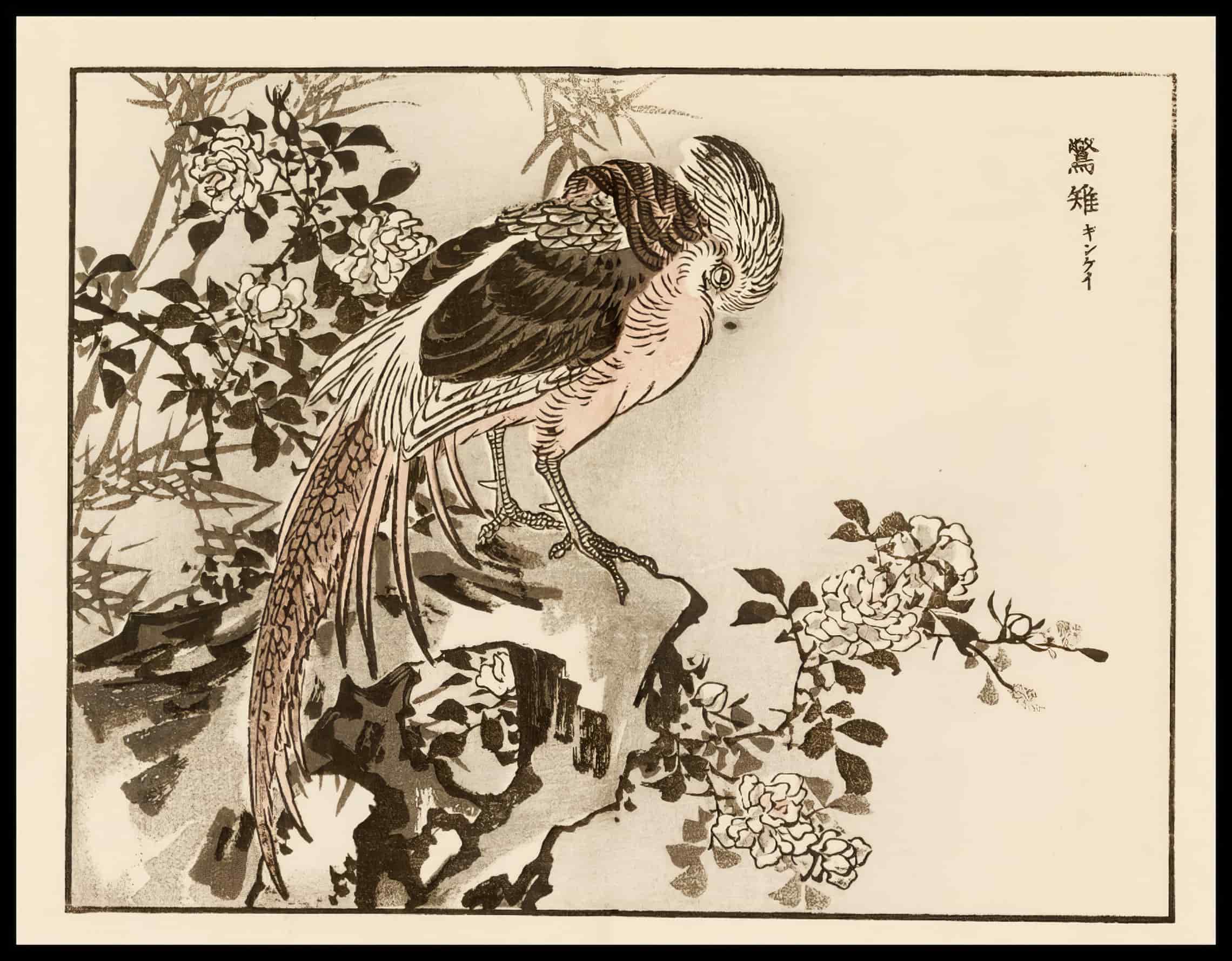 Woodcut 33