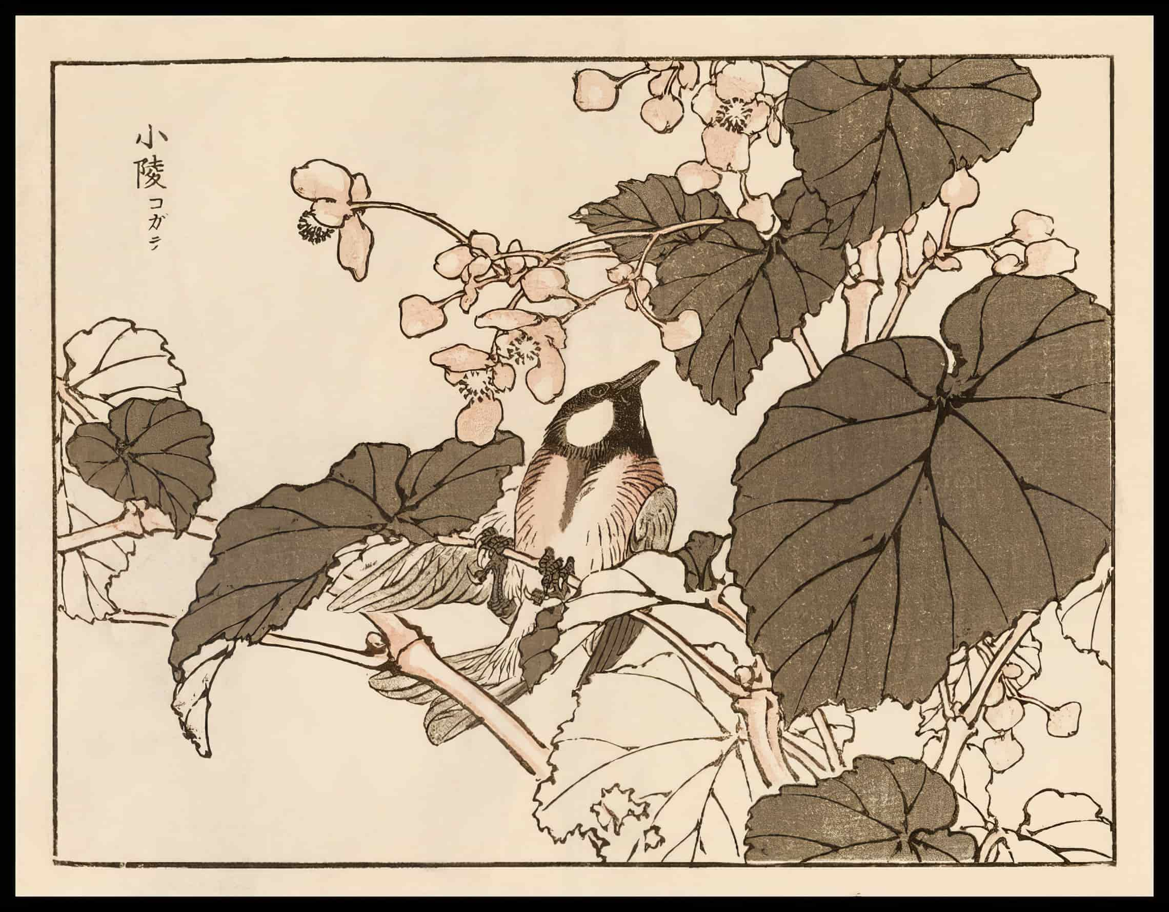 Woodcut 34