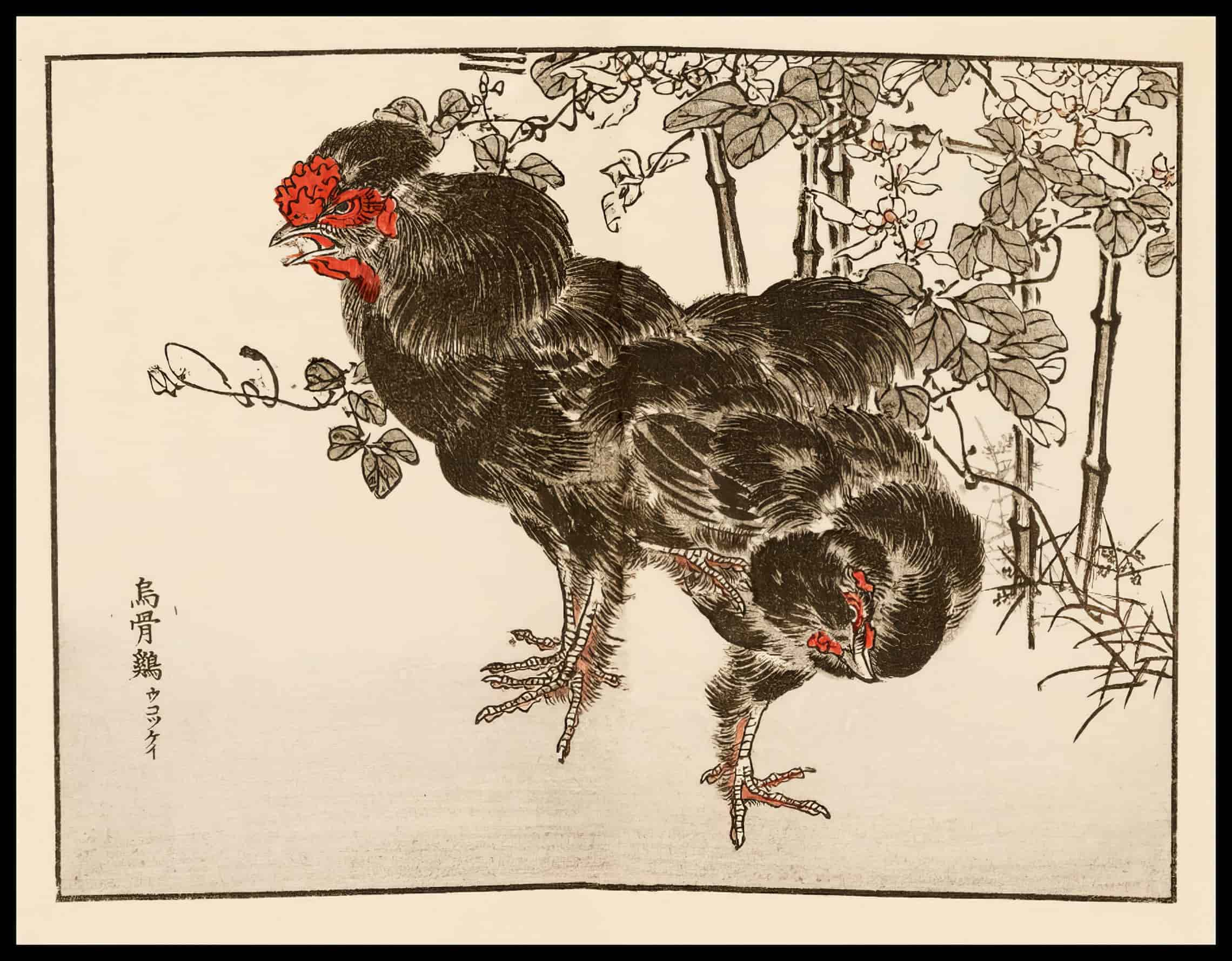 Woodcut 36
