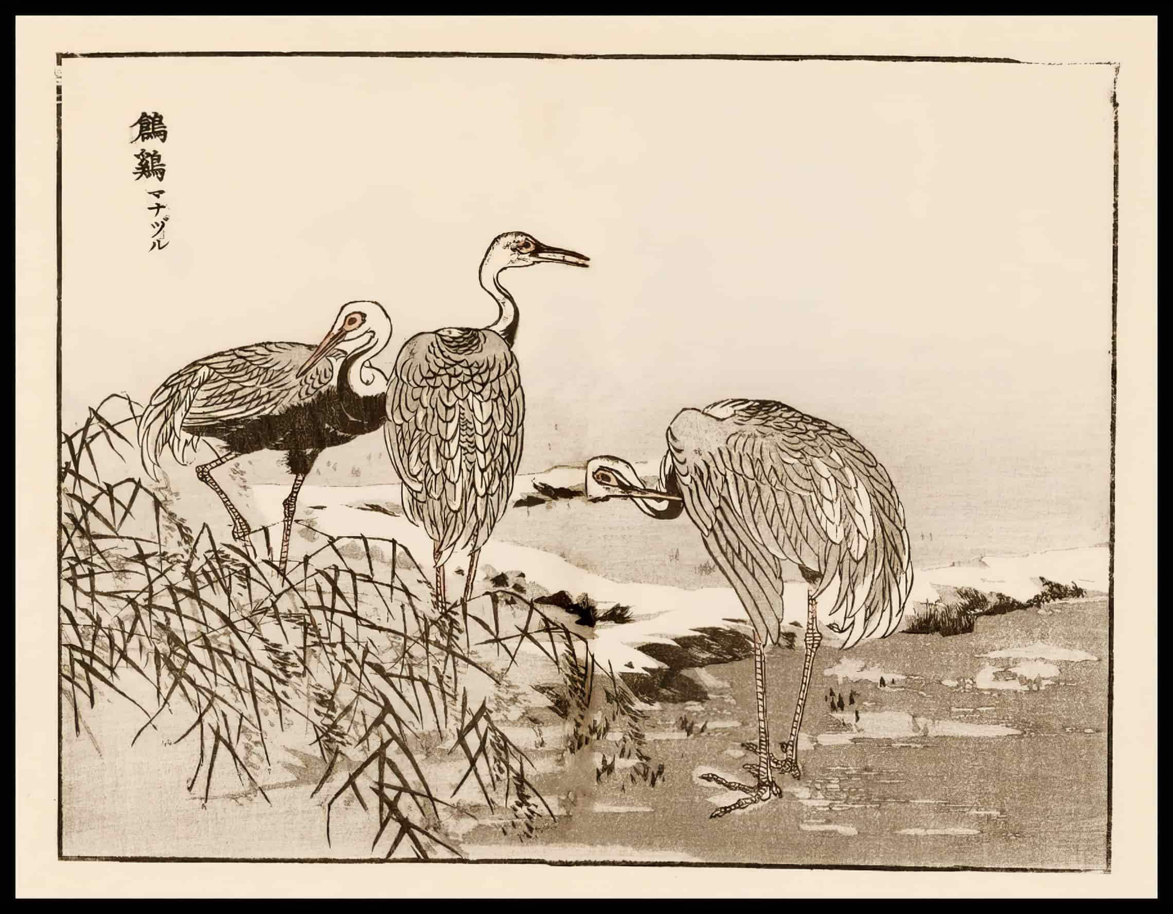 Woodcut 37