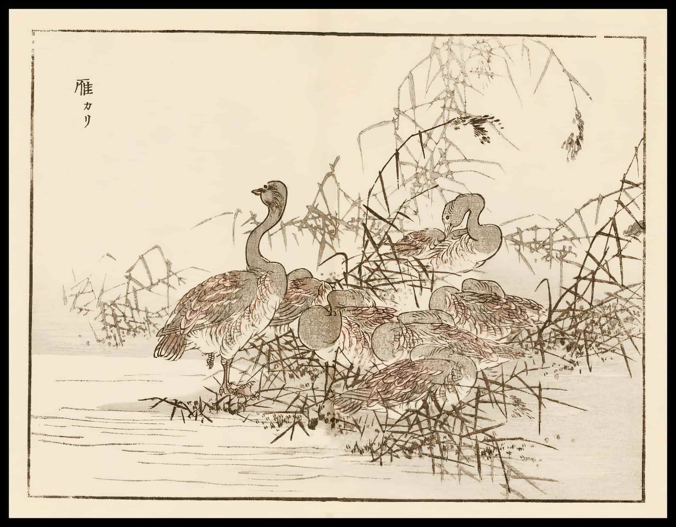 Woodcut 38