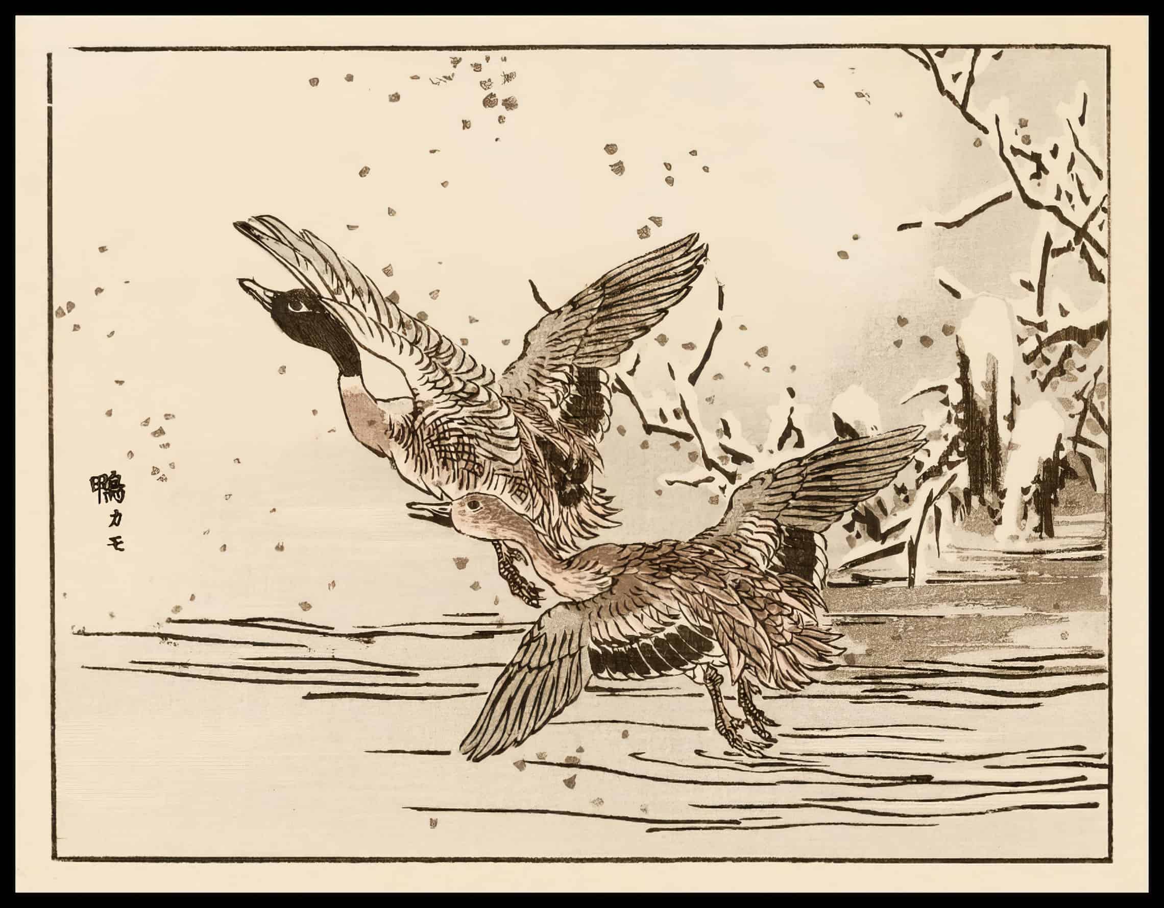 Holzschnitt 40