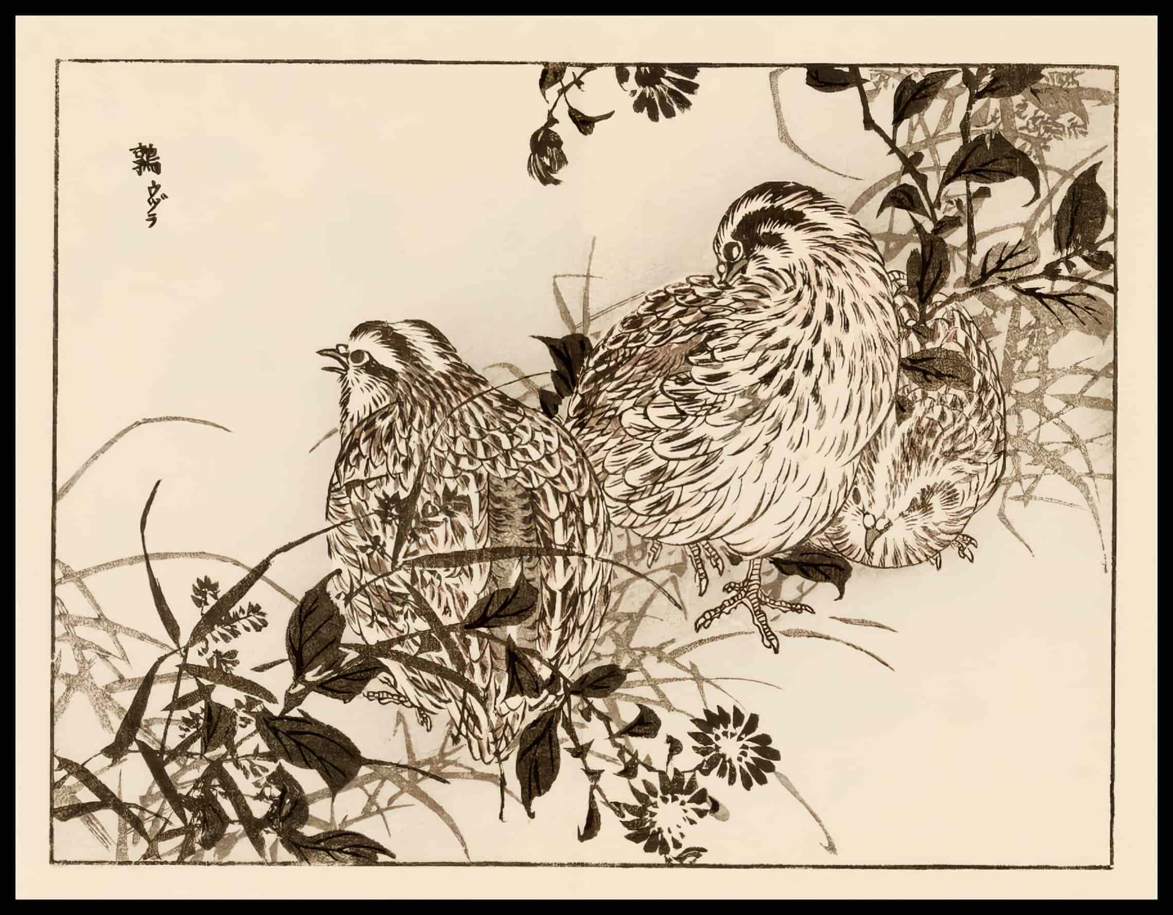 Woodcut 45