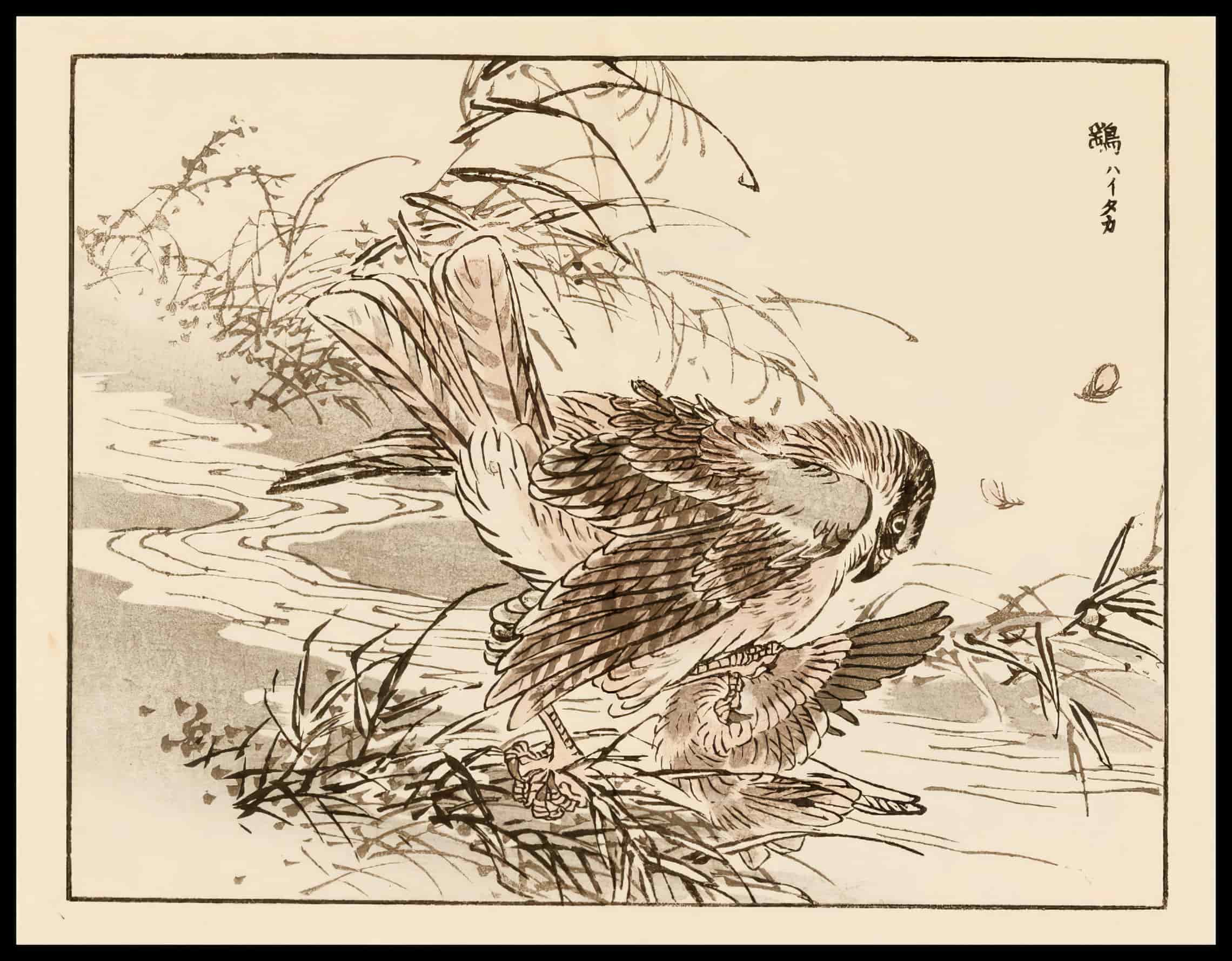 Woodcut 46