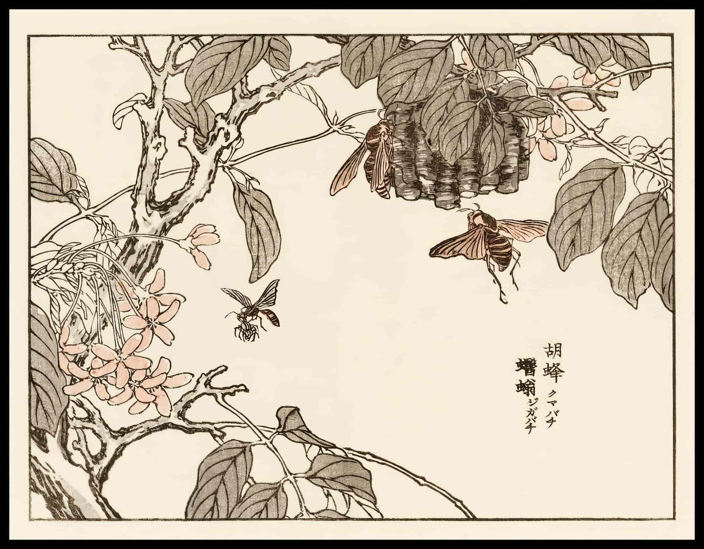 Woodcut 47