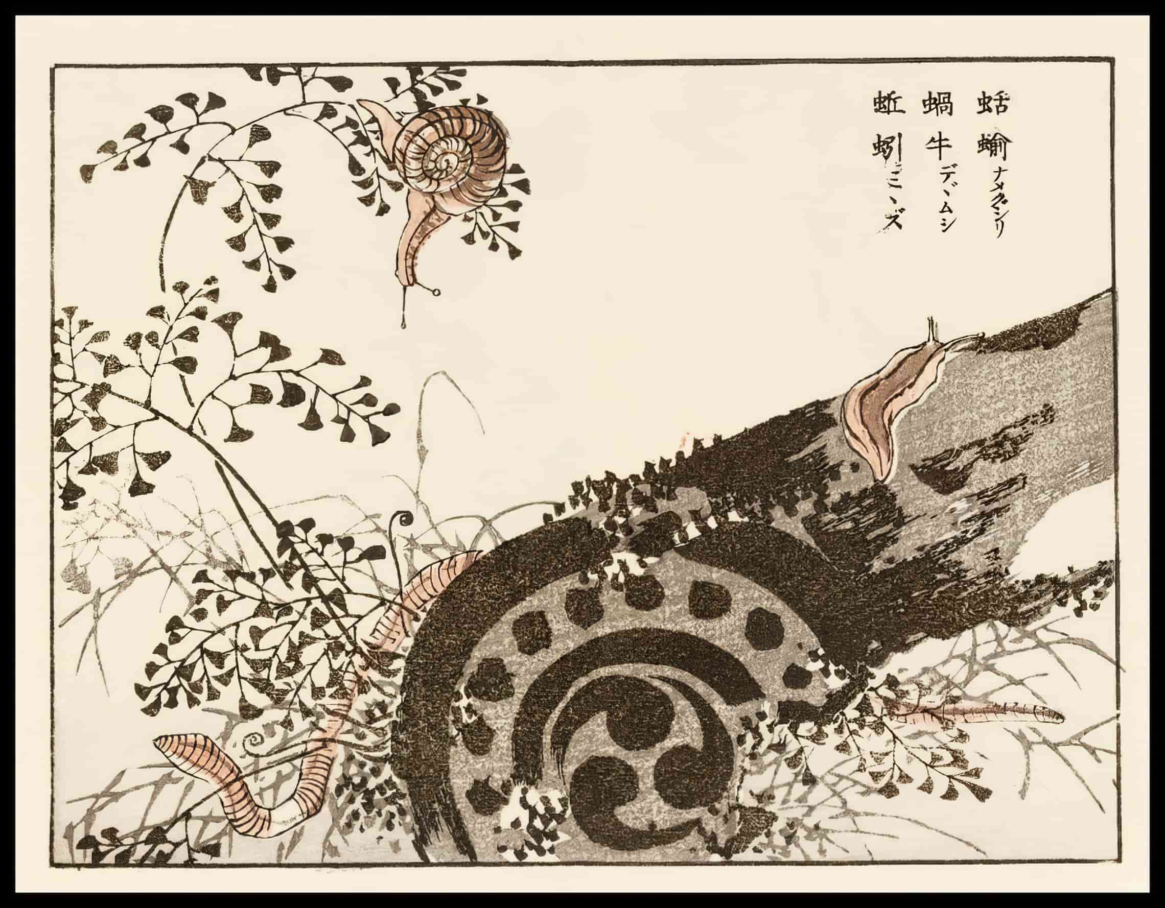 Woodcut 48