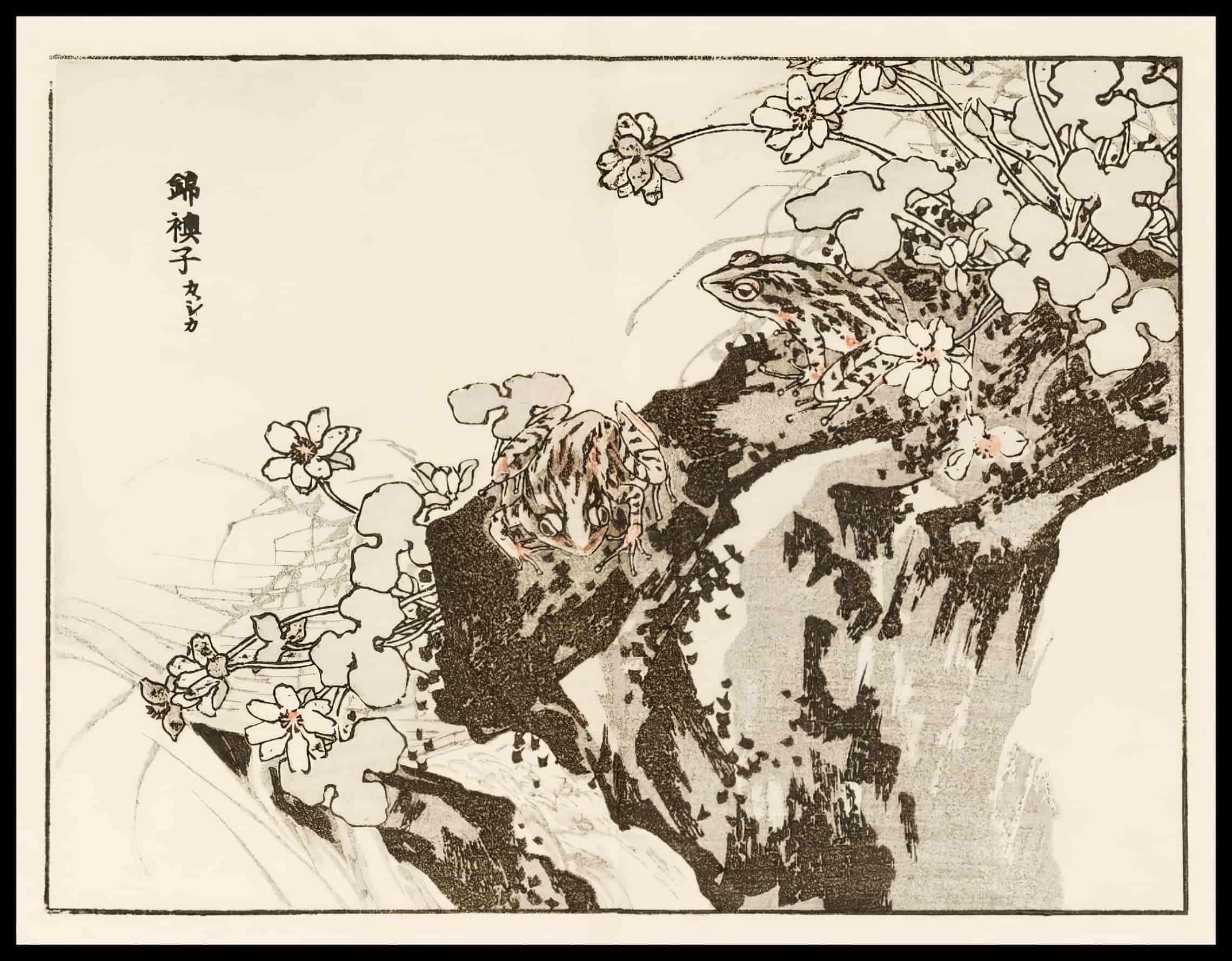 Woodcut 49