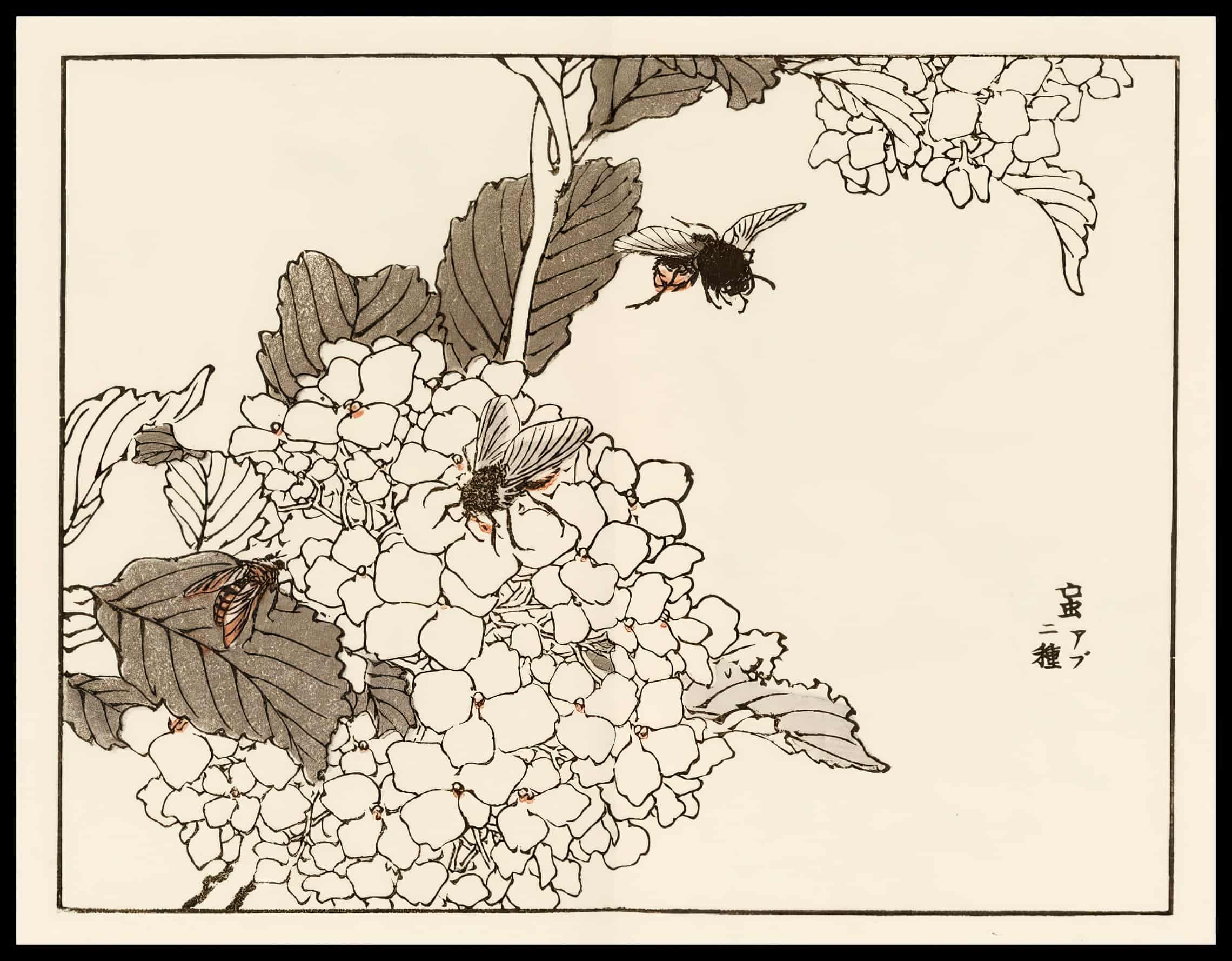Woodcut 51