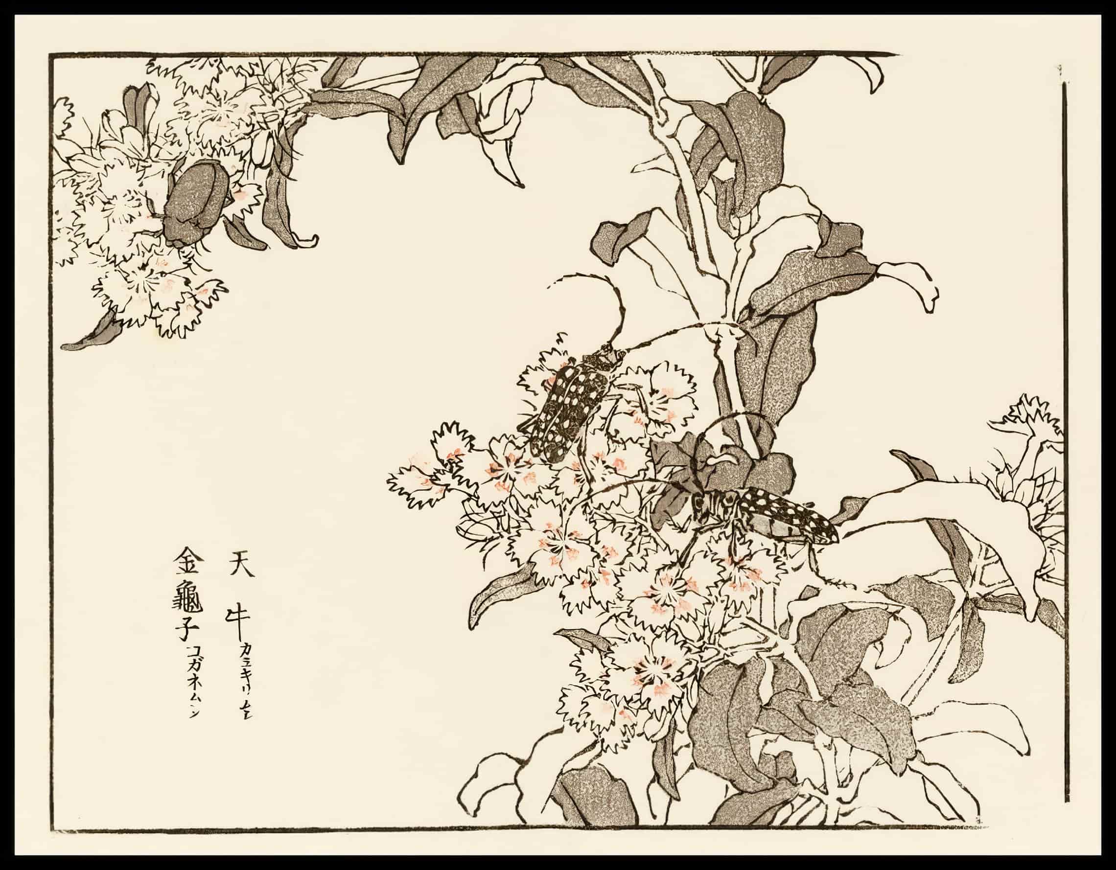 Woodcut 53