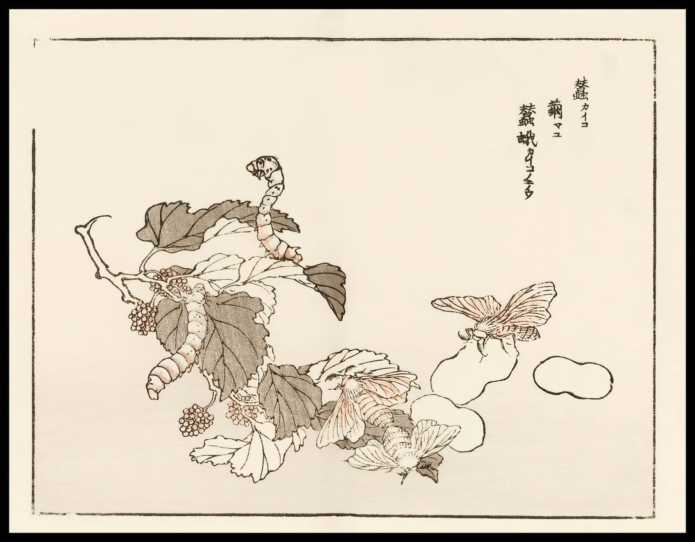 Woodcut 54