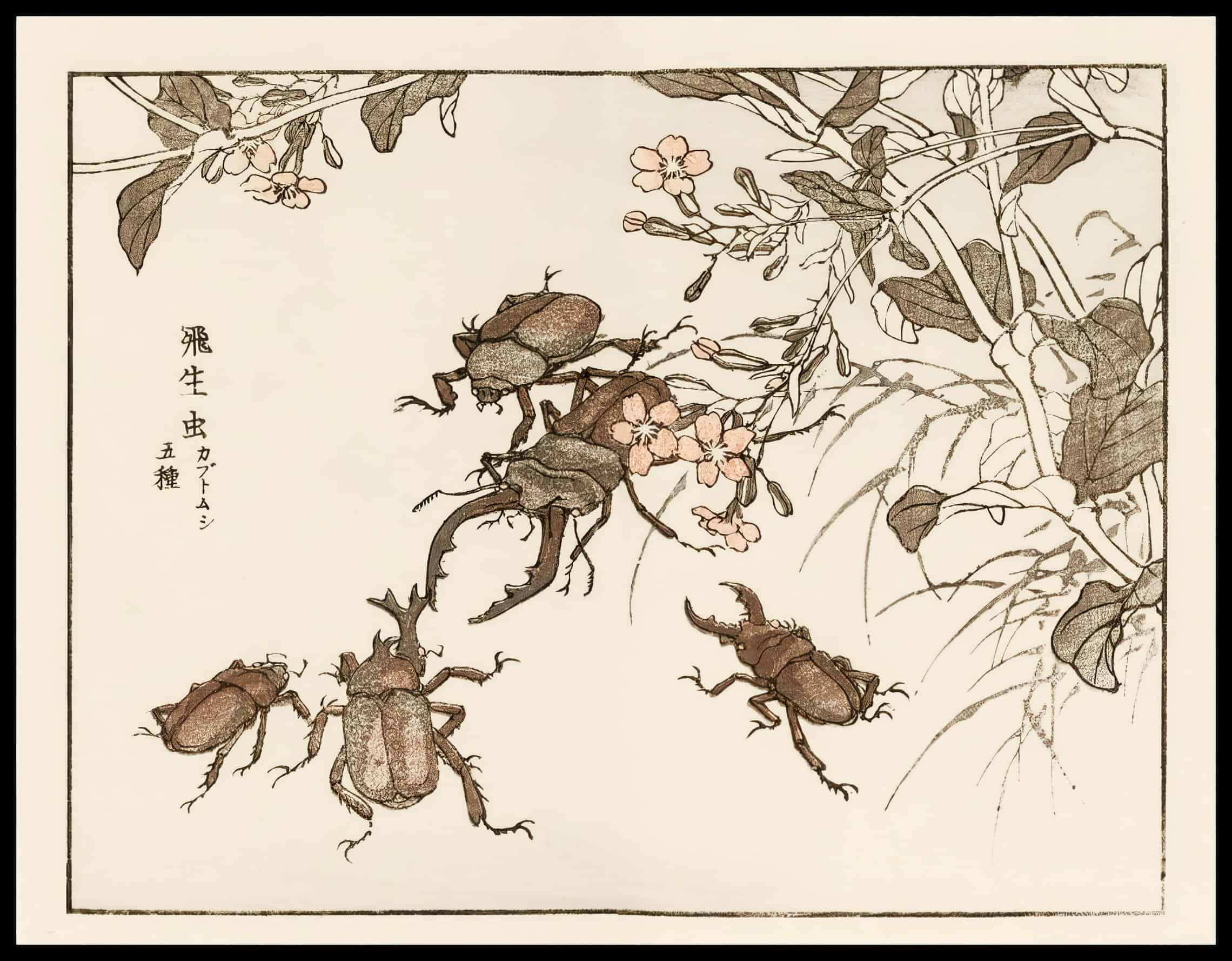 Woodcut 56