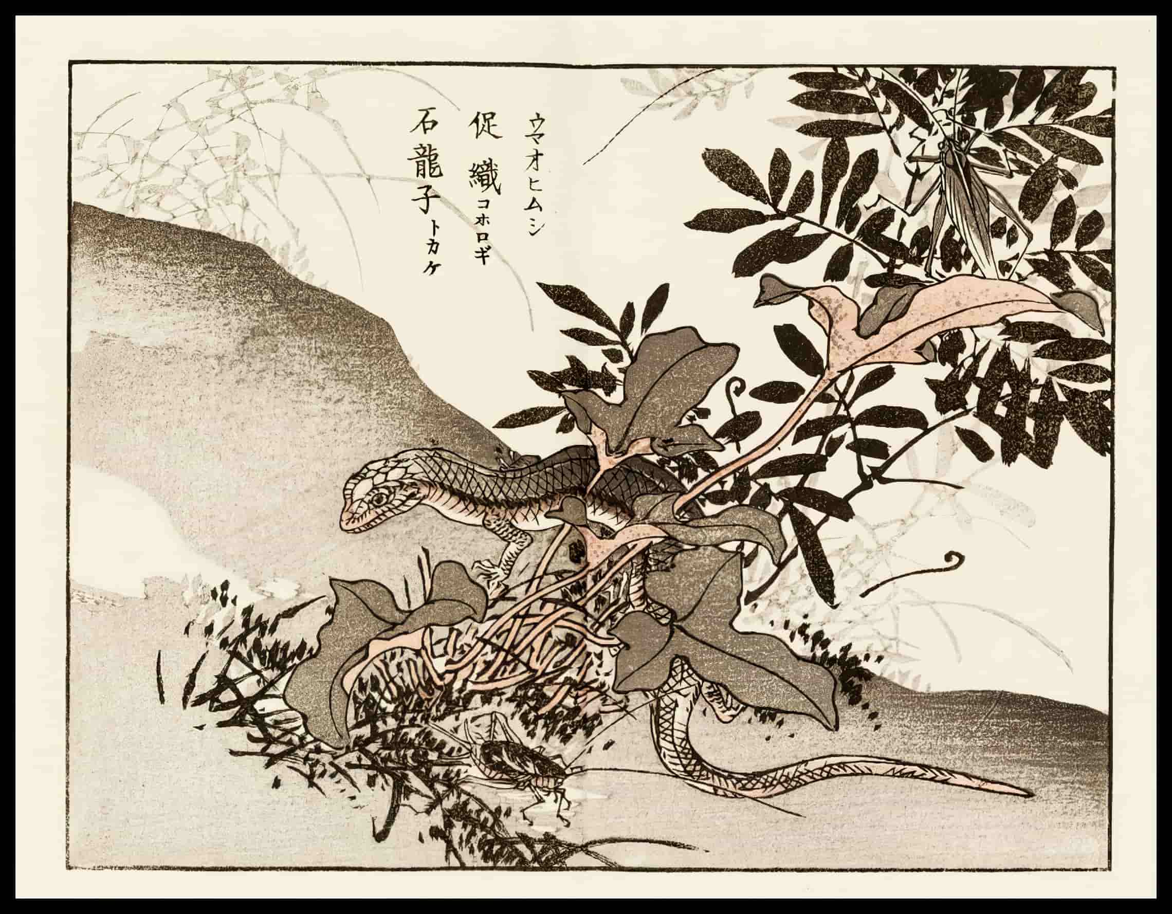 Woodcut 58