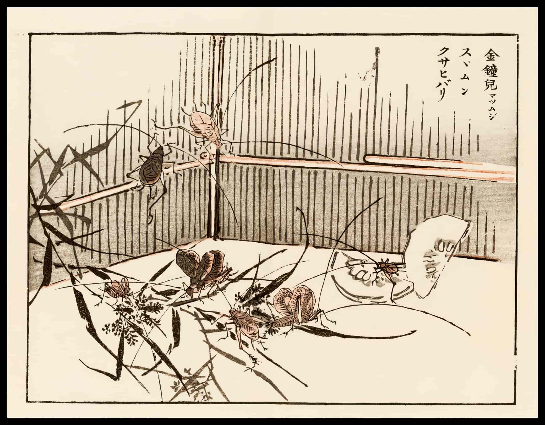 Woodcut 62