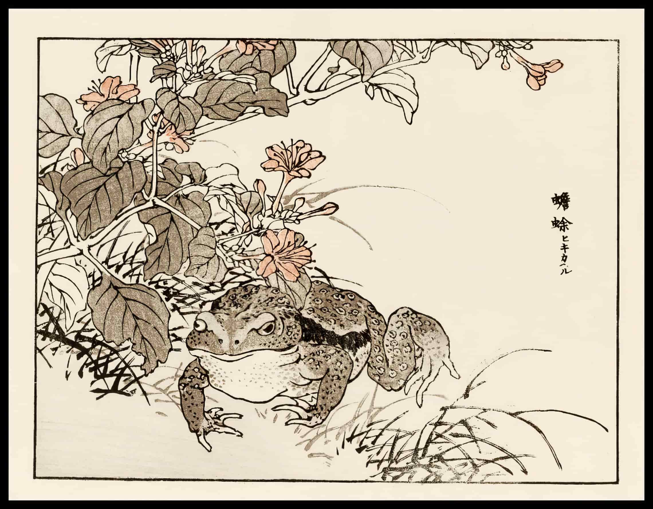 Woodcut 63