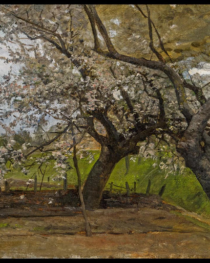 Blühende Obstbäume