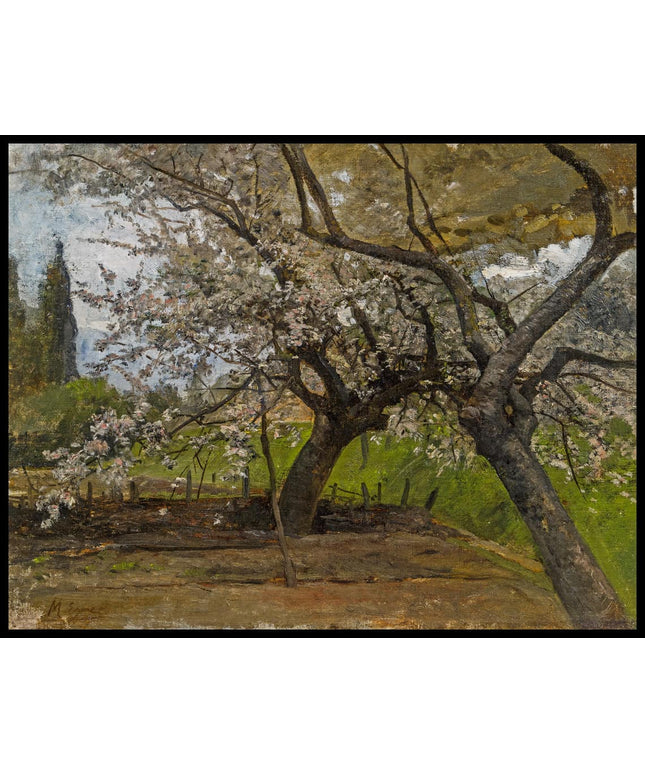 Blühende Obstbäume