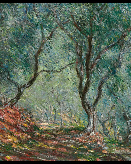 Bois d'oliviers au jardin Moreno