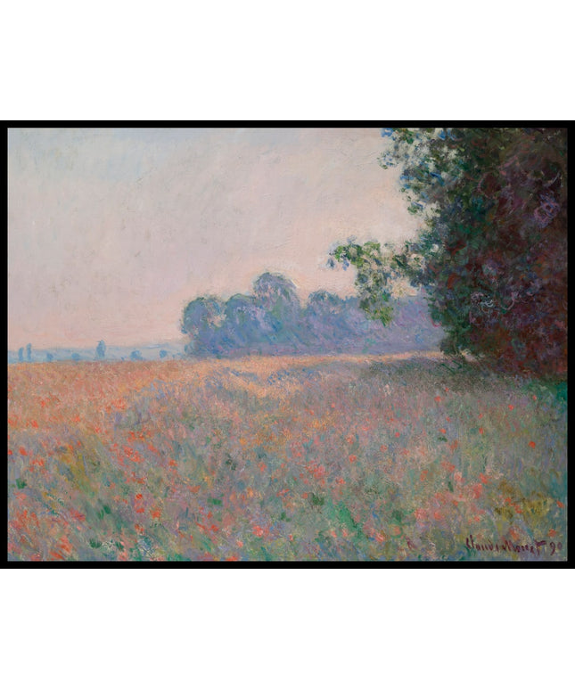 Champ d'avoine et de coquelicots