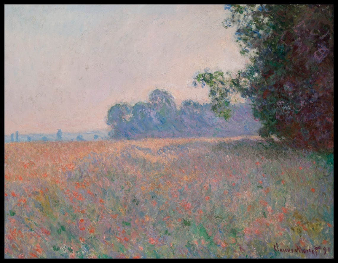 Champ d'avoine et de coquelicots