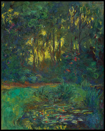 Coin du bassin aux nymphéas