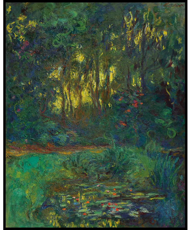 Coin du bassin aux nymphéas