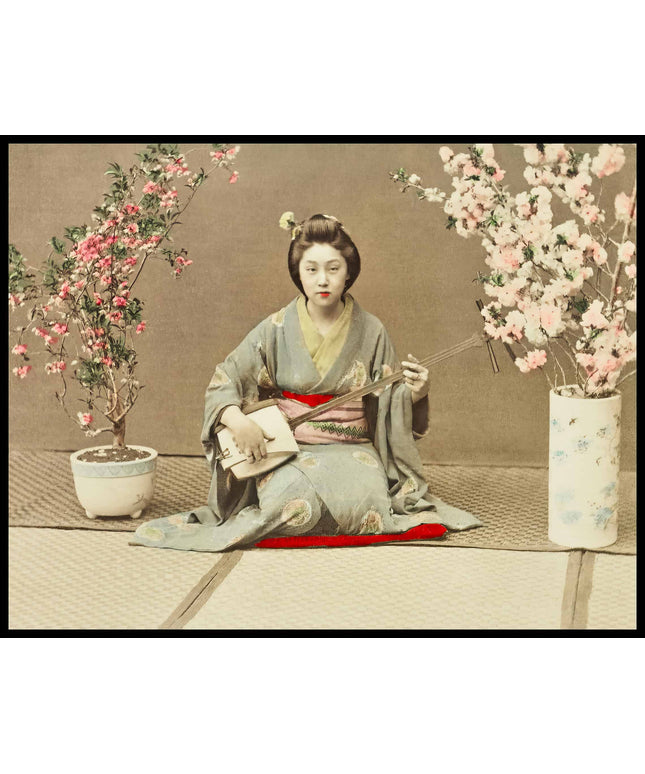 Geisha Playing Samisen