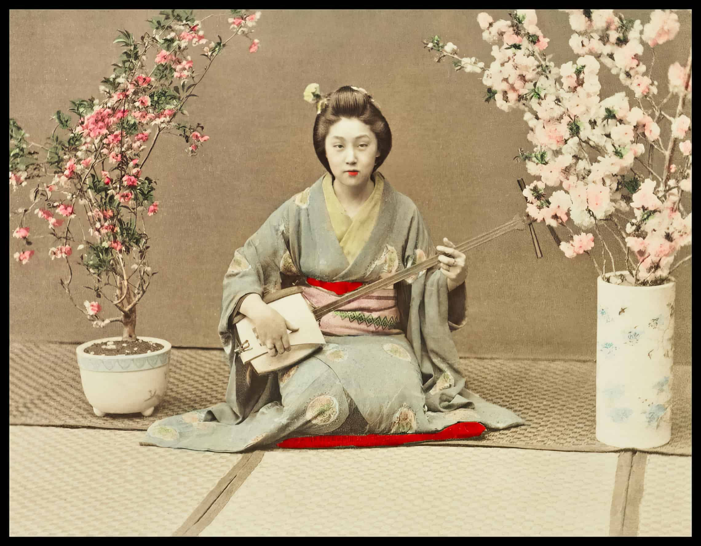 Geisha Playing Samisen