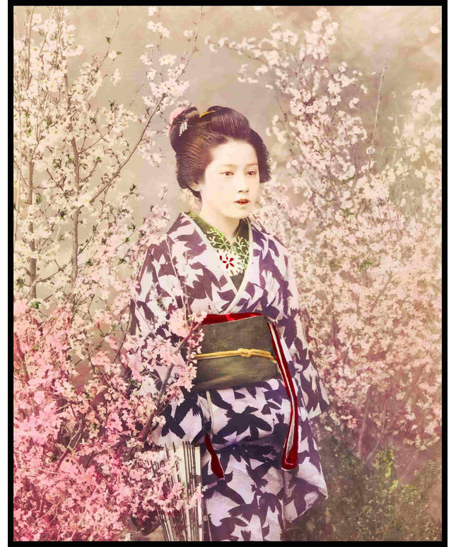 Geisha And Cherry Blossom