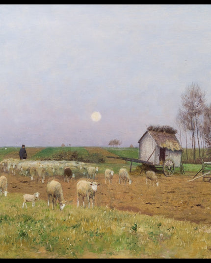 Heimkehr einer Schafherde