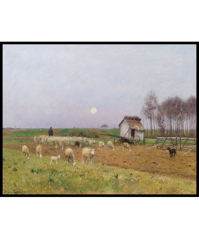 Heimkehr einer Schafherde