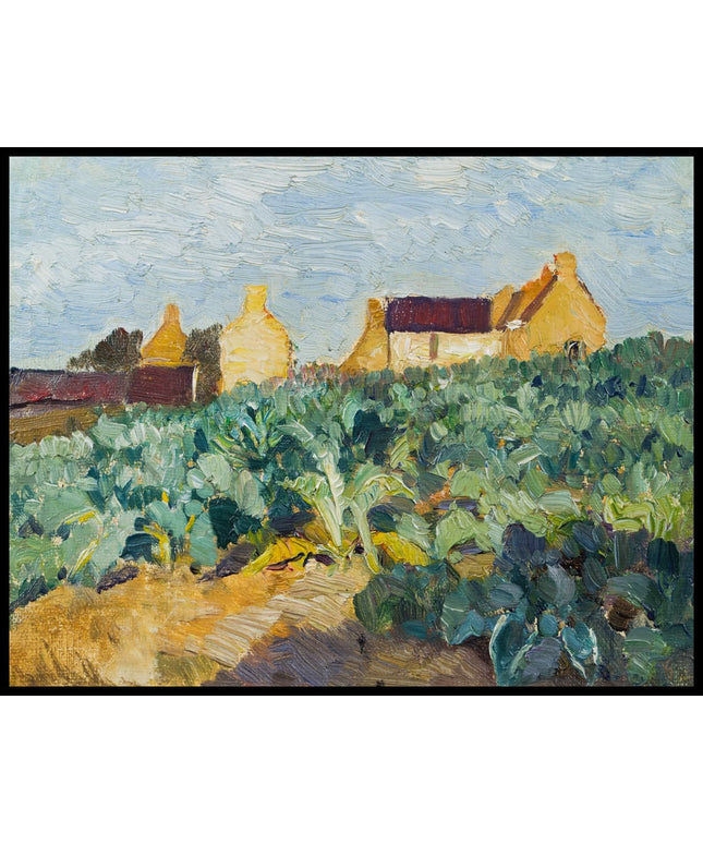 Kohlfeld in der Bretagne