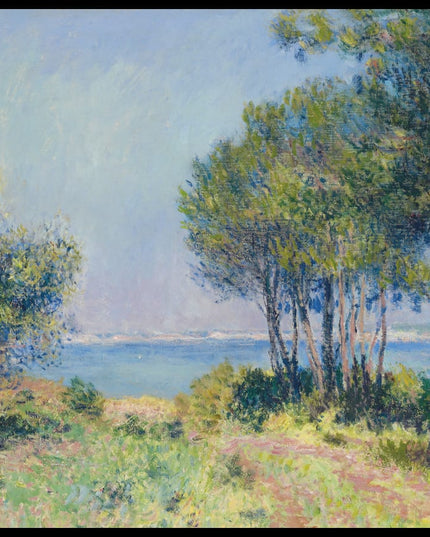 Les sapins à Varengeville