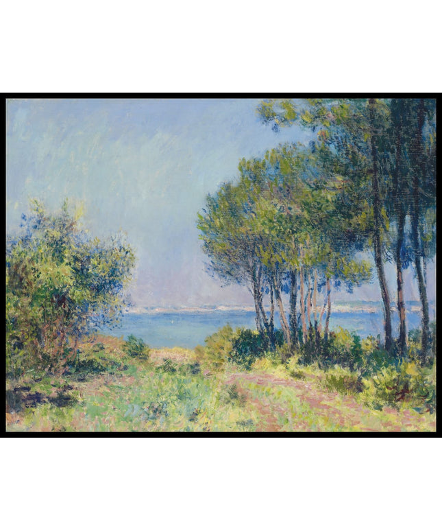 Les sapins à Varengeville